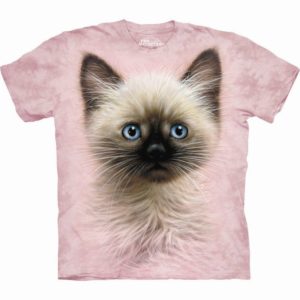 Katte t-shirts