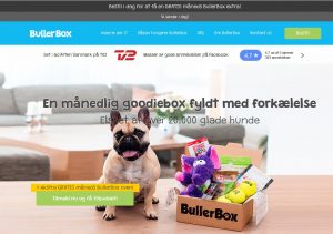Bullerbox til hund