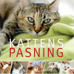 Kattens pasning