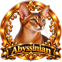 Abyssinian