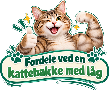 Fordele ved en kattebakke med låg