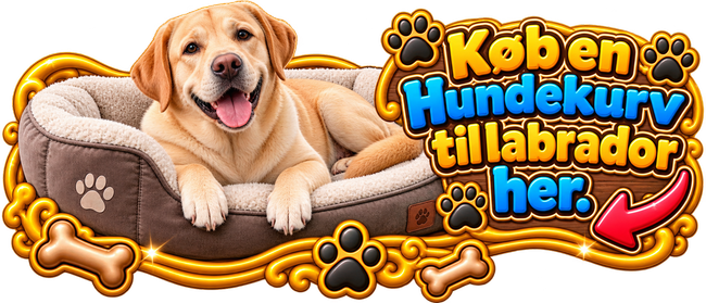 Hundekurv til labrador