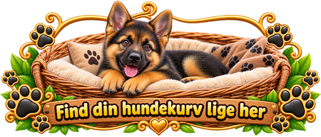 Hundekurve