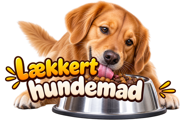 Hundemad