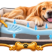 Hundeseng memory foam