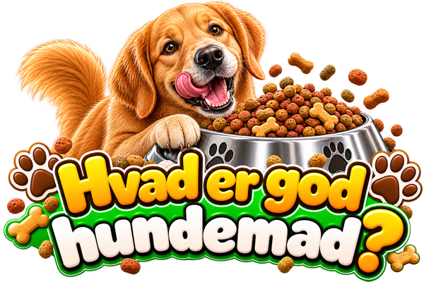 Hvad er god hundemad