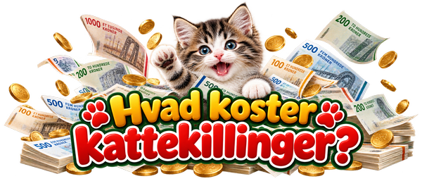 Hvad koster kattekillinger