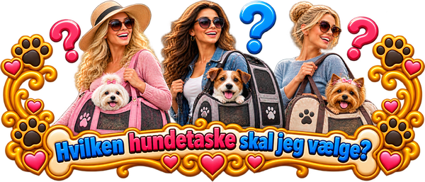 Hvilken hundetaske skal du vælge