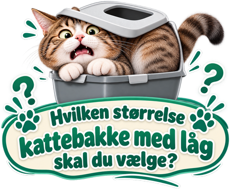 Hvilken størrelse kattebakke med låg skal du vælge
