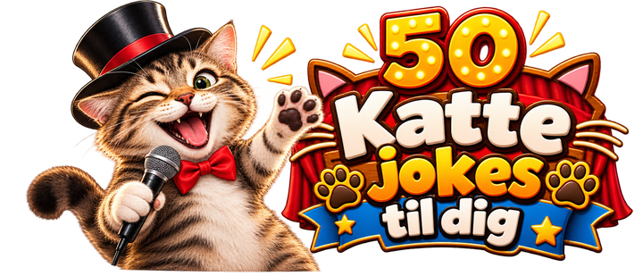Katte jokes