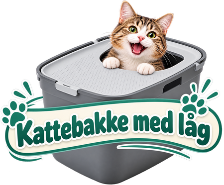 Kattebakke med låg