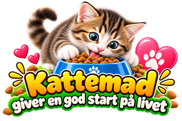 Kattemad giver en god start på livet
