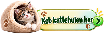 Køb kattehulen her