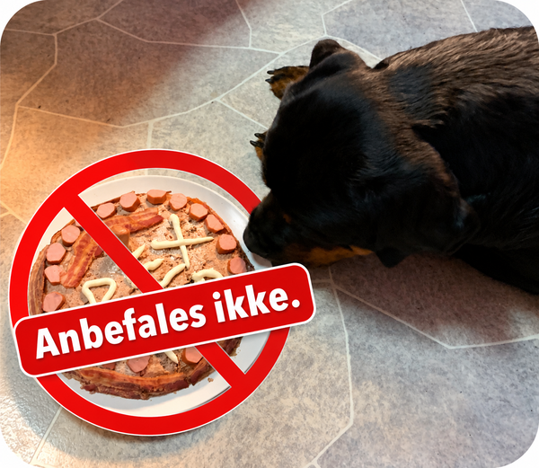 Lagkage til hund som ikke anbefales