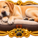 Sovende labrador