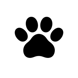 Hunde og katte
