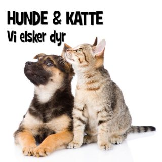 Hunde og – Alt til hunde og